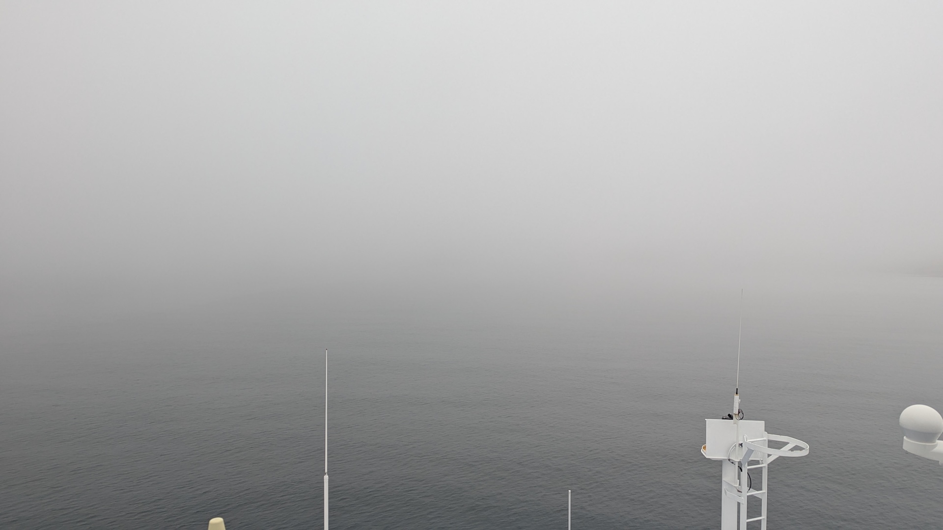 Foggy Sea