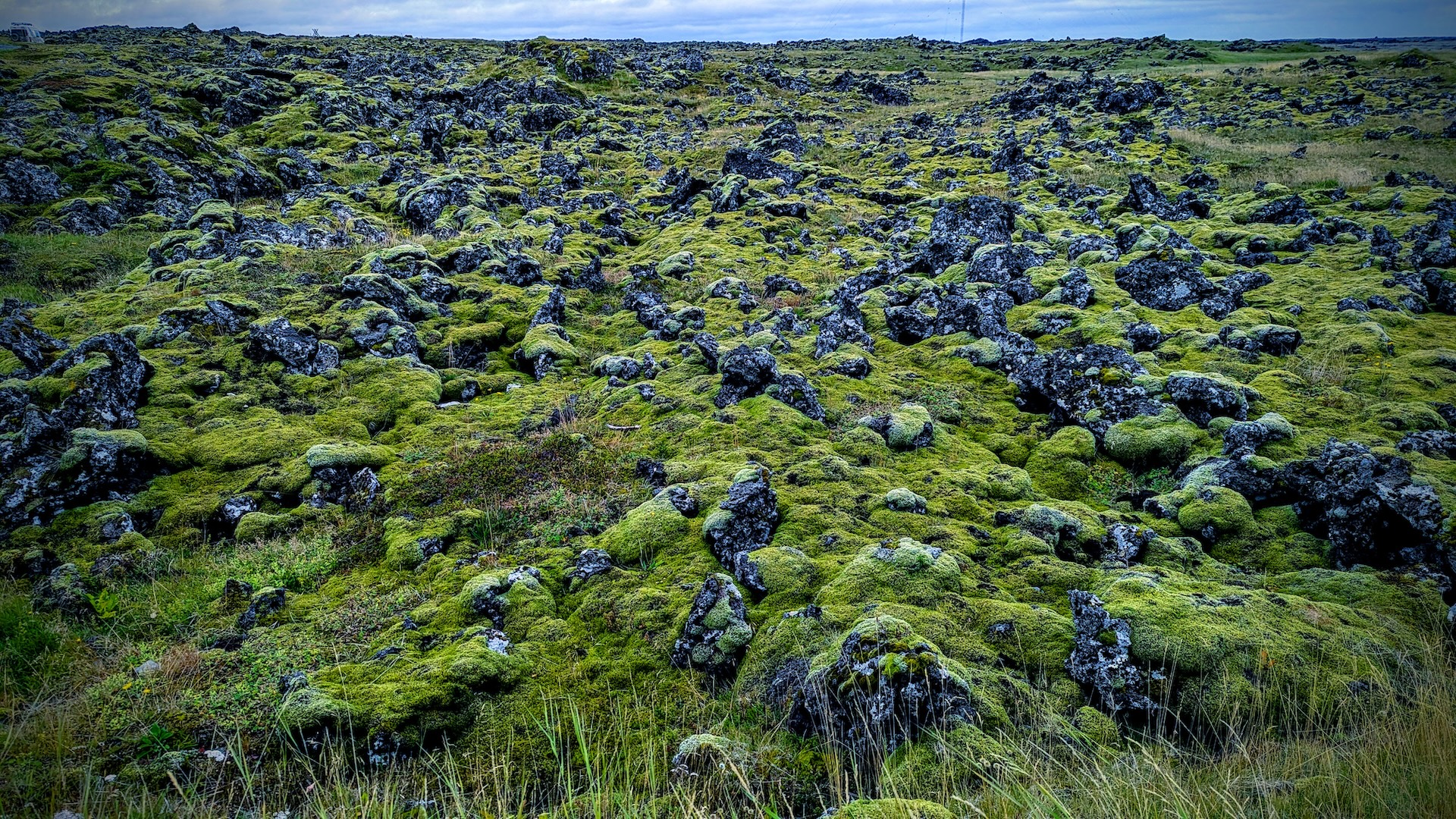 Iceland - Day 4