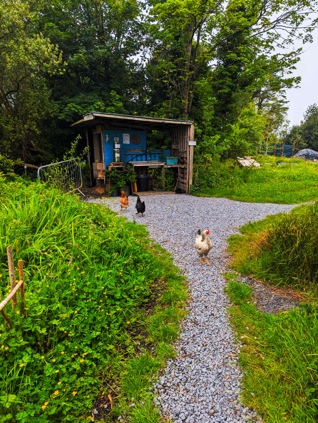 Camp Kitchen