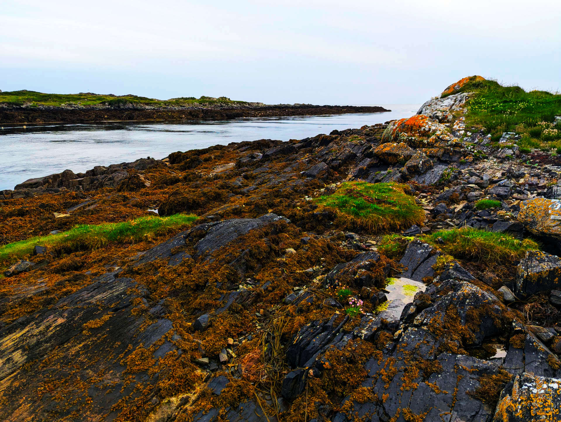 Rocks by the Estuary