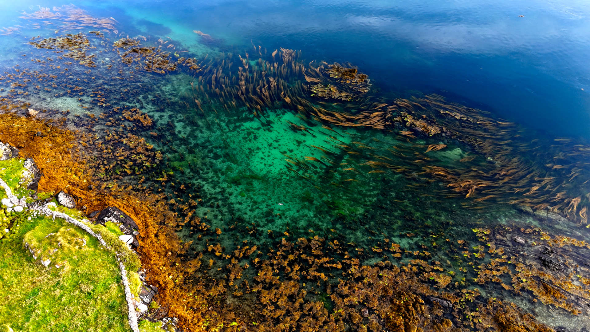 Clear Water